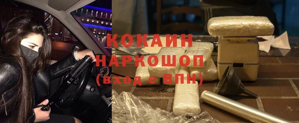 сатива Мегион