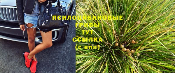 амф Абинск