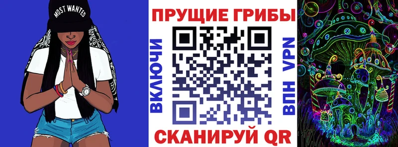 Галлюциногенные грибы GOLDEN TEACHER  Бийск 